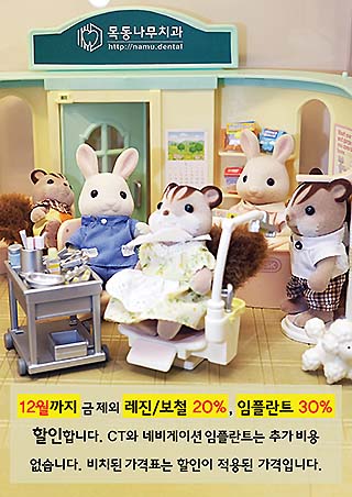 목동나무치과 가격표